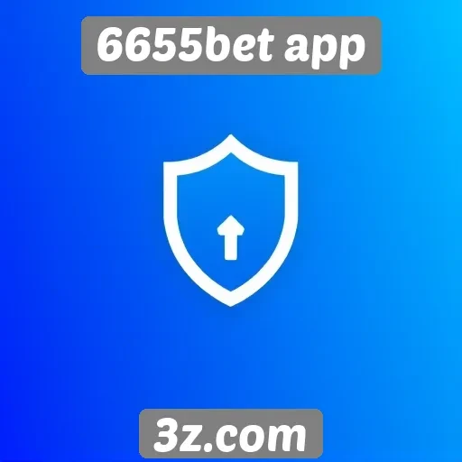 Segurança e privacidade no 6655bet app
