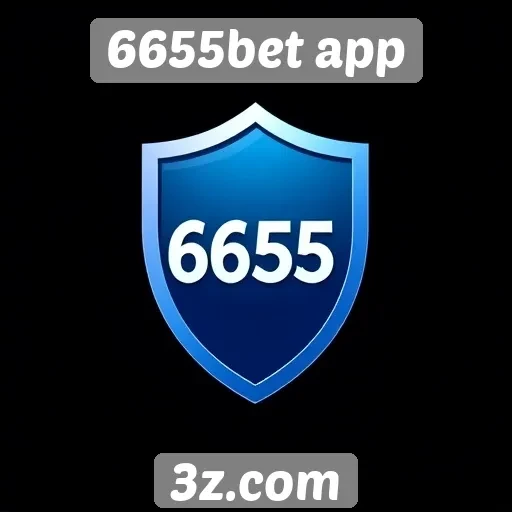 Avaliação da segurança no site 6655bet